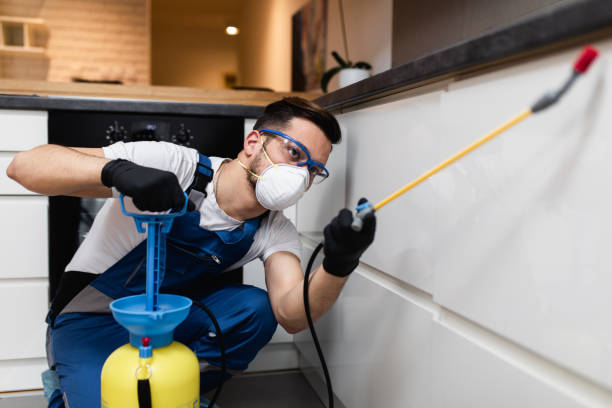 Best Exterminator Services  in Gloucester City, NJ