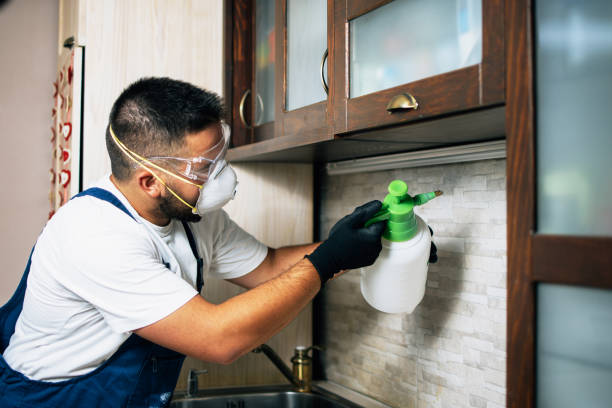 Best Local Pest Control Services  in Gloucester City, NJ