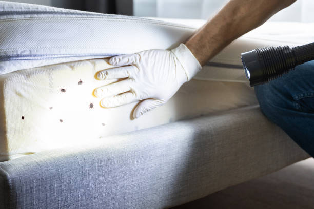 Gloucester City, NJ Pest Control Company