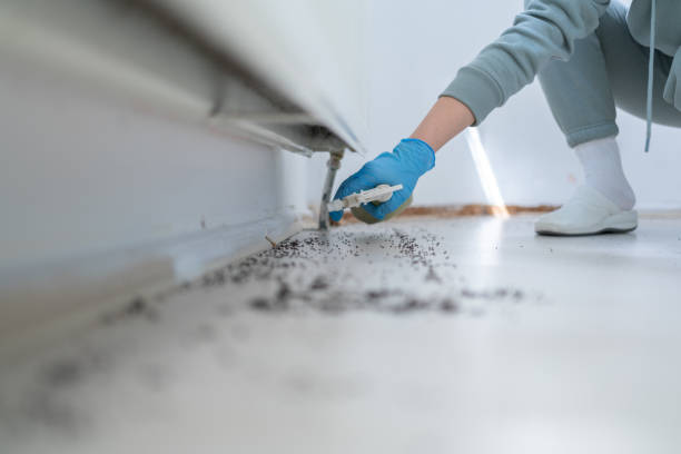 Wildlife Control Services in Gloucester City, NJ